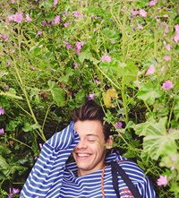 Harry Styles, Ryan McGinley, Another Man Magazine