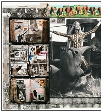 Peter Beard collage