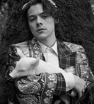 Harry Styles Gucci campaign ad 2018 Another Man fashion