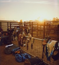 Bull Riders South Australia Carrieton cowboys Lee Whittaker