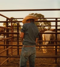 Bull Riders South Australia Carrieton cowboys Lee Whittaker