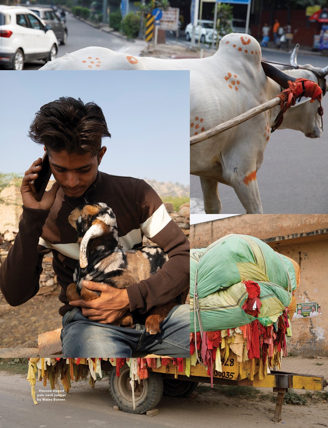 Nick Sethi photographer Grace Wales Bonner India Rajasthan