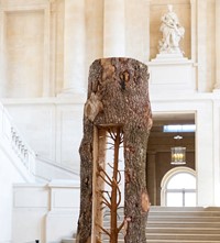 Giuseppe Penone_Albero Porta - CedroDoor Tree - Ce